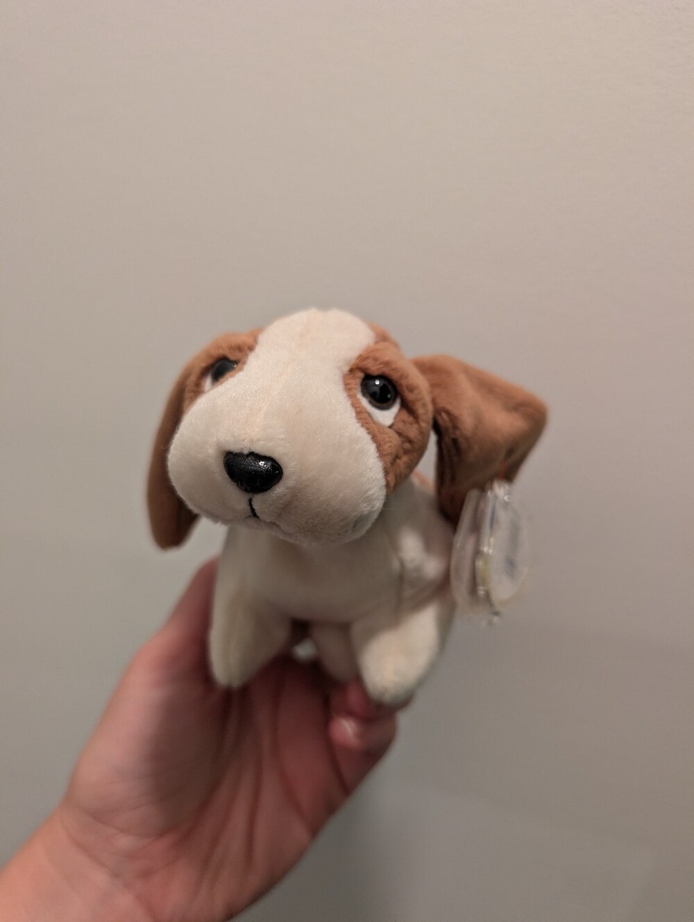 "Tracker"  Ty Beanie Baby Basset Hound Plush Dog